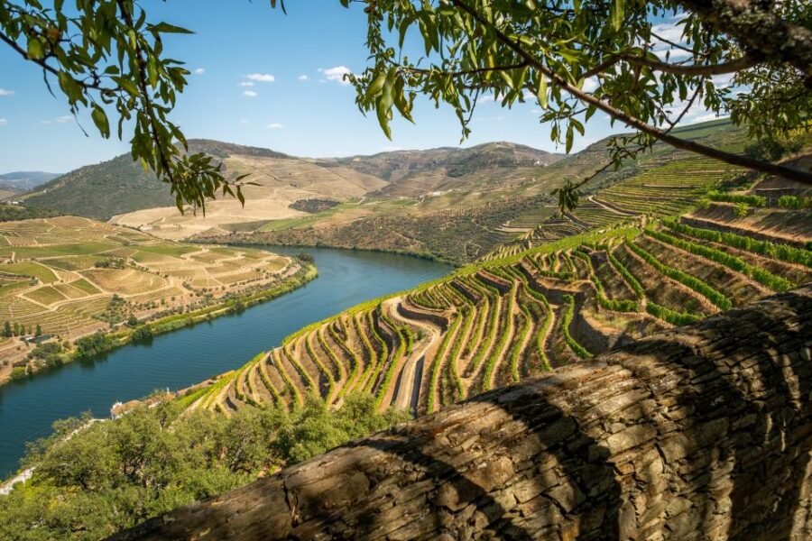 Douro Valley: Premium Full-Day Tour Experience - Tour Overview and Pricing