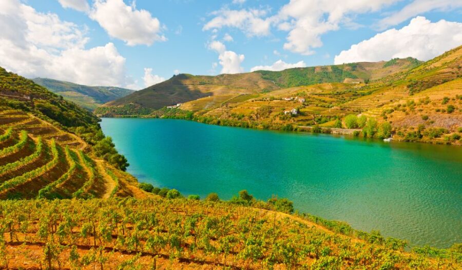 Douro Valley Private Tour With 2 Wine Tastings