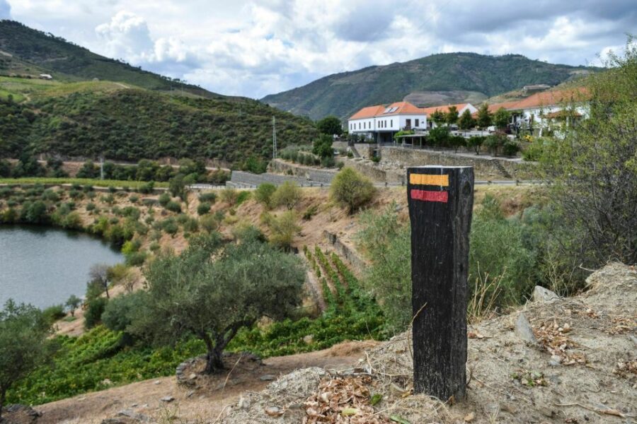 Douro Valley: Quinta Do Tedo Wine Experience With Picnic