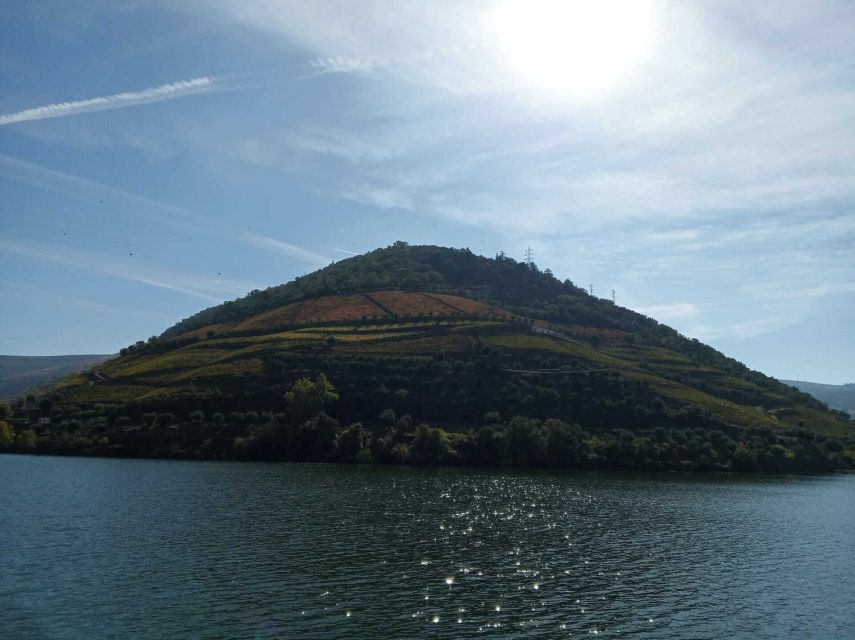 Douro Valley Winery Day Trip With River Cruise