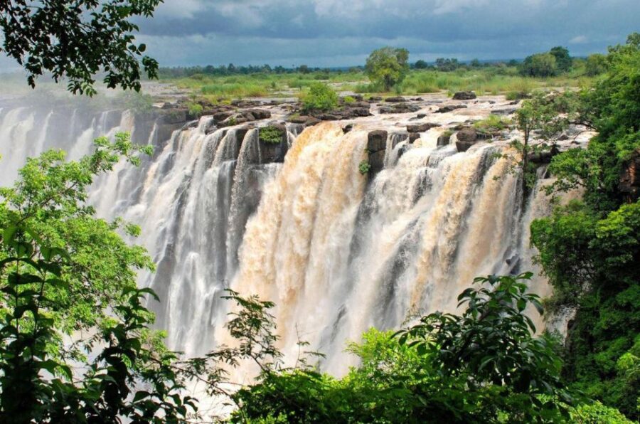 4 Best Full-Day Tours In Howick