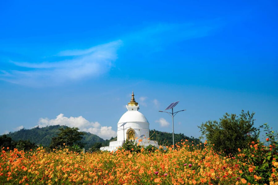 Drop off From Kathmandu to Pokhara in a Private Car - Service Overview and Pricing