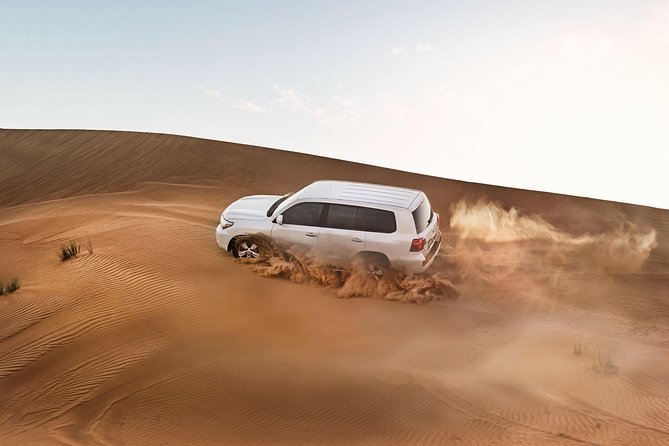 Dubai Desert Excursions With BBQ Dinner & Live Entertainment