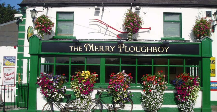 Dublin: Irish Night Show at the Merry Ploughboy Pub - Event Overview