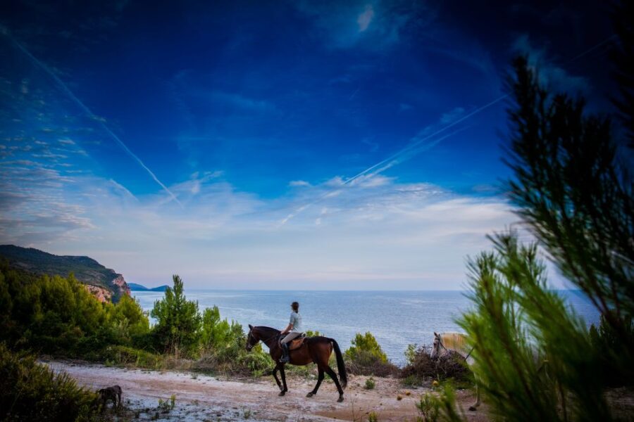 Dubrovnik Kojan Koral: Horseback Riding - Activity Overview