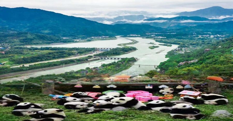 Dujiangyan Panda Base and Irrigation System Park Day Tour