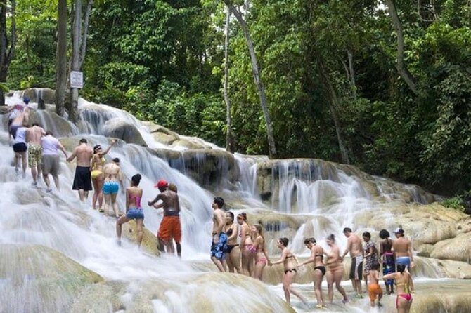 Dunns River Falls and Horse Back Riding Excursion