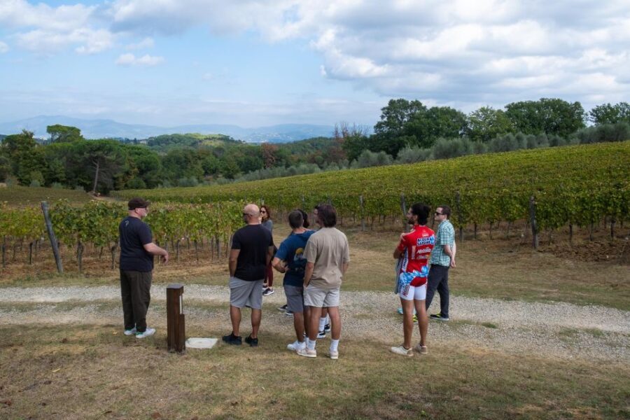 E-Bike Chianti Classico and Tuscany Tour With Lunch at Farm