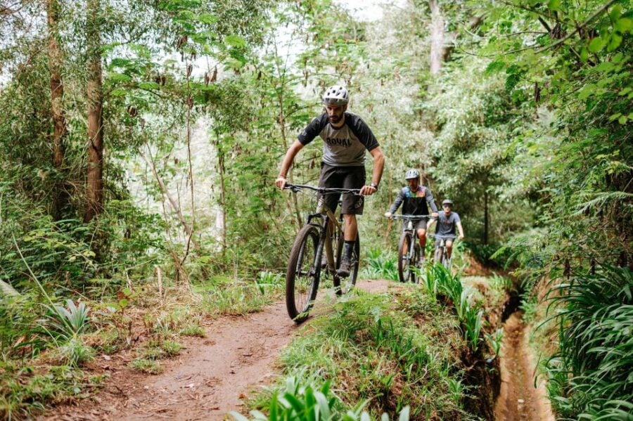 E-Bike Guided Tour - Belle Vue Mountain Biking - Tour Overview and Pricing