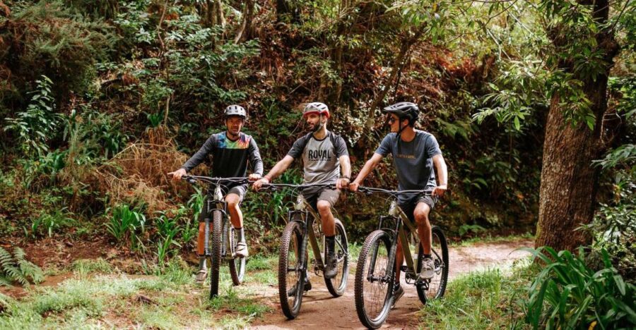 E-Bike Guided Tour - Mountain Biking Experience - Tour Overview