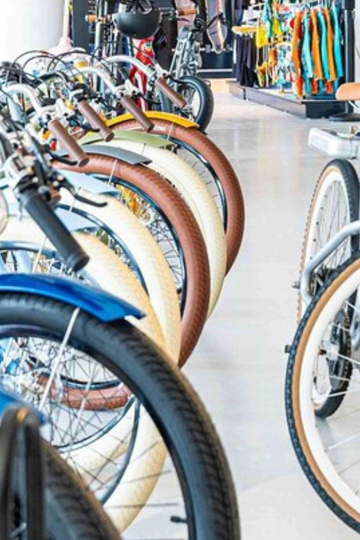 E-Bike Ride on the French Riviera NICE and CAP3000