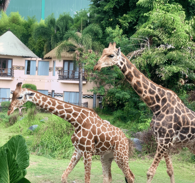 East Bali : Full Day Tour
