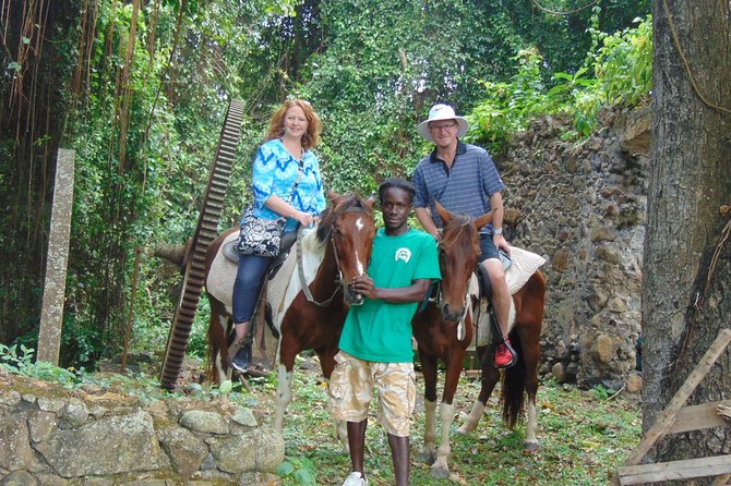 East Coast Horseback Riding & Waterfall Excursion - Inclusions and Logistics
