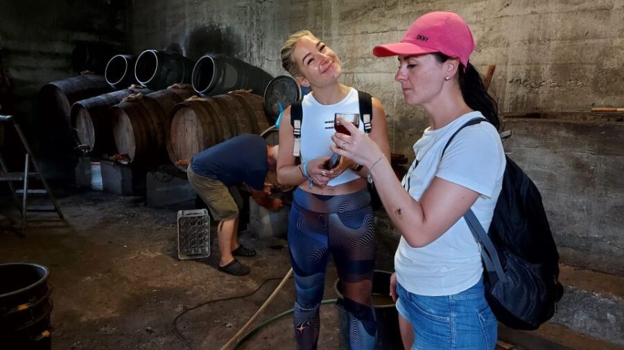 East Tour: Classic Jeep Tour to East Madeira - Santana - Tour Overview