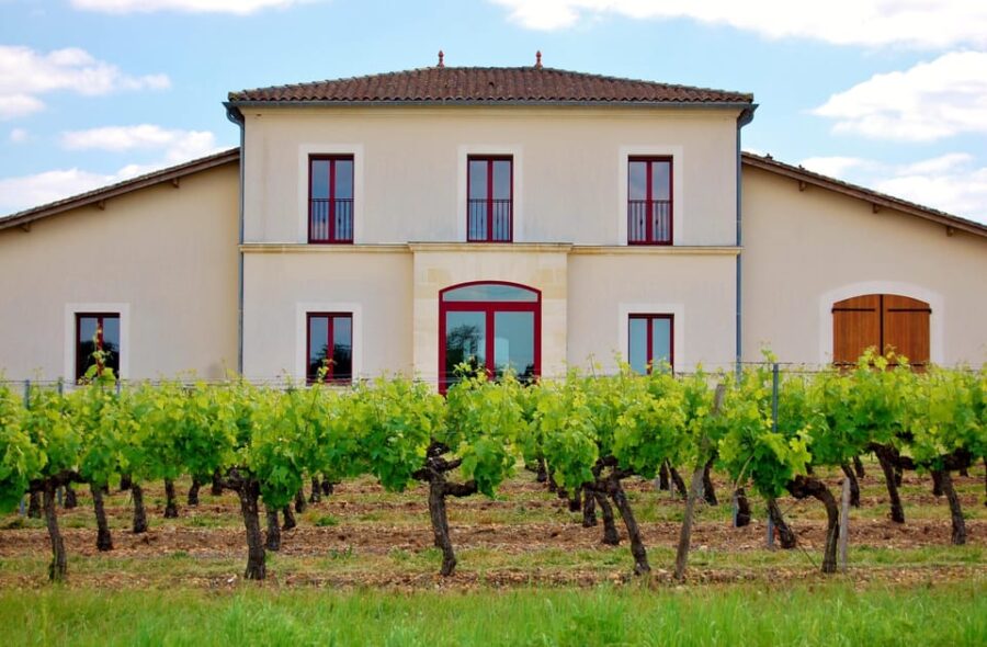 Educational Hiking in Bordeaux Vineyard - Activity Overview