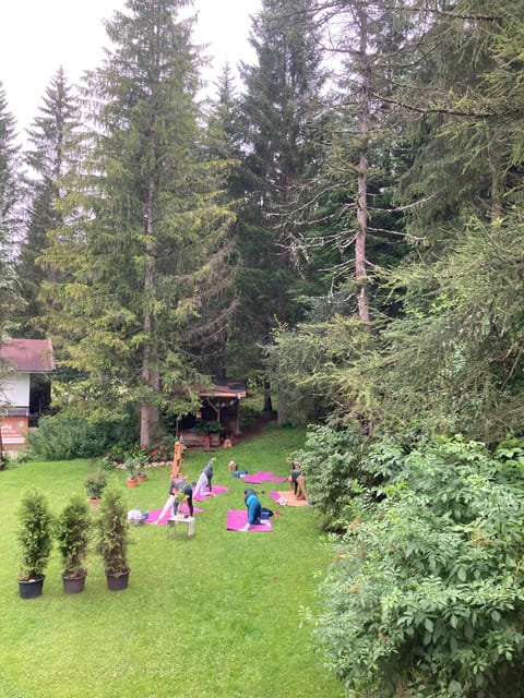 Ehrwald: Mountain Yoga Class