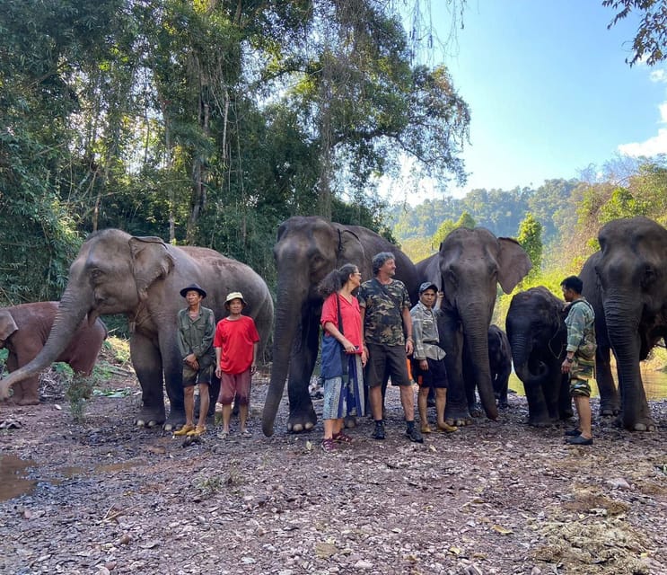 Elephant Home Sanctuary in Muang Thong Sayaboury Laos