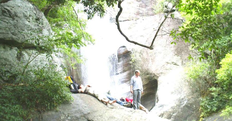 Ella-Trekking Through Forest Tea Plantation & Waterfalls