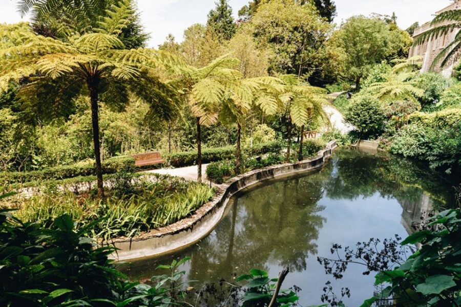 Enchanting Sintra: Palaces, Sweet Indulgences and Wine - Overview and Pricing