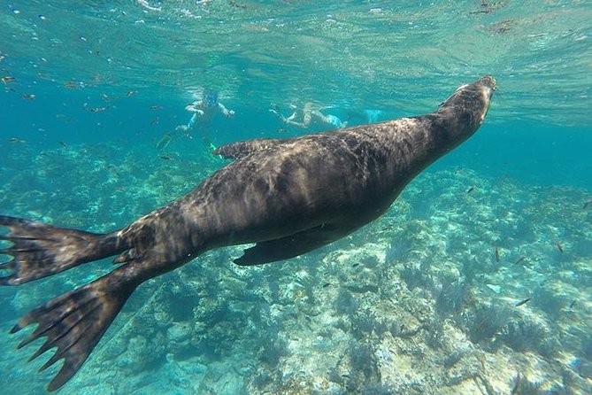 Espiritu Santo Island Day Tour