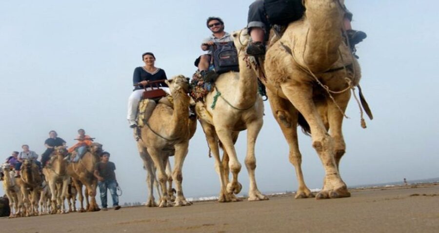 17 Best 2 Hour Tours and Experiences in Essaouira