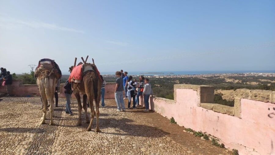 Essaouira Day Tour Starting From Marrakech