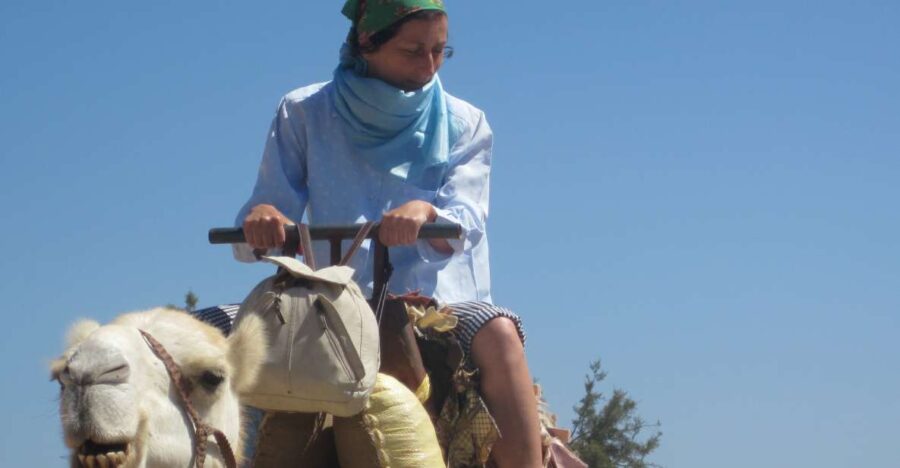 Essaouira: Guided Dromedary Riding Tour