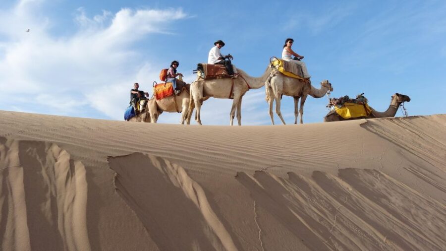 Essaouira: One Hour Dromedary Ride