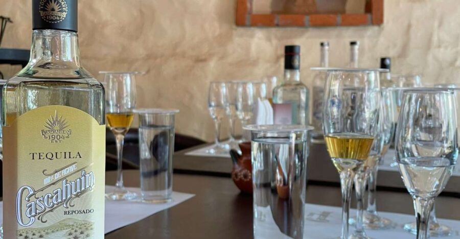 Essence of Tequila
