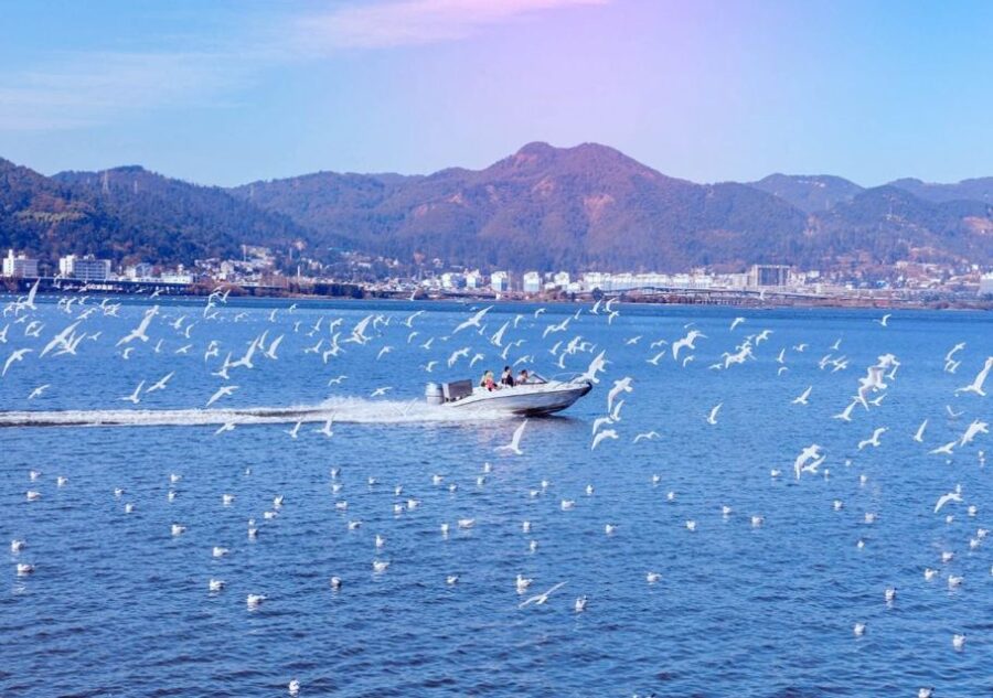 Essences of Kunming Downtown Day Tour - Tour Overview