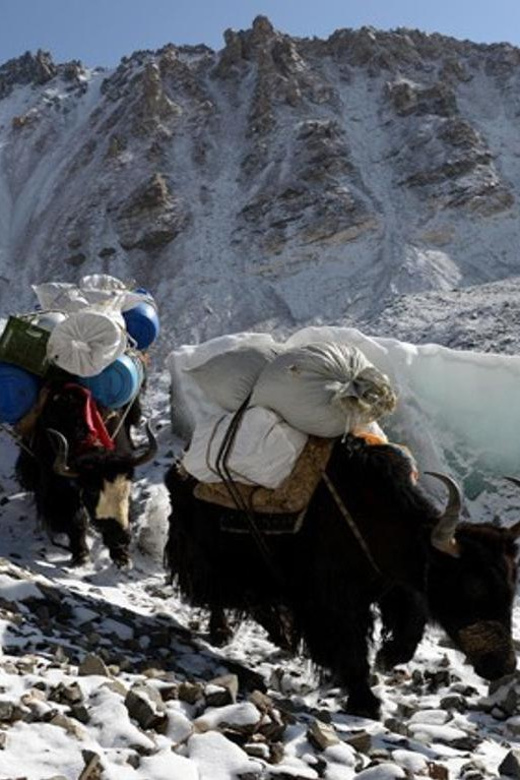 Everest Advanced Base Camp: The Thrill of High Altitude Trek