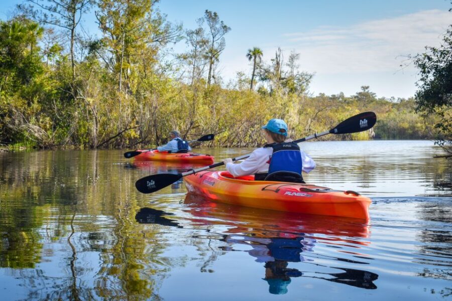 2 Best Guided Tours In Everglades City