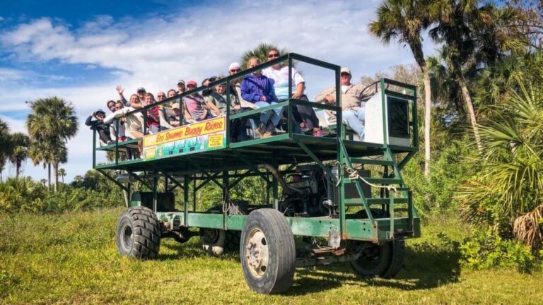 Everglades: Mangrove Maze Airboat Tour and Boardwalk