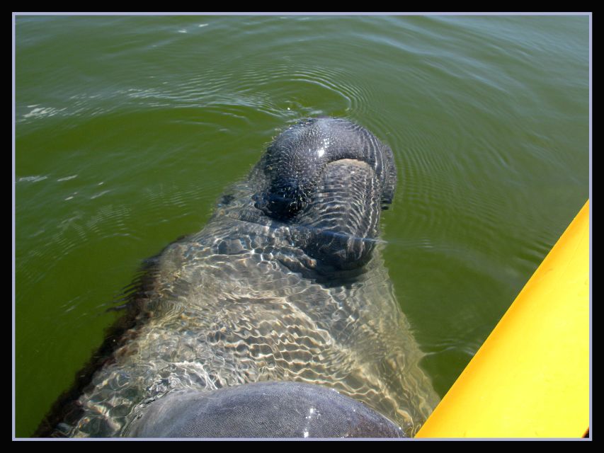 8 Best National Park Tours In Everglades National Park