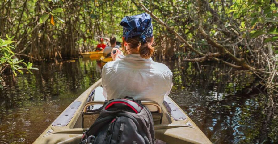 Everglades National Park: Mangrove Tunnel Kayak Eco-Tour