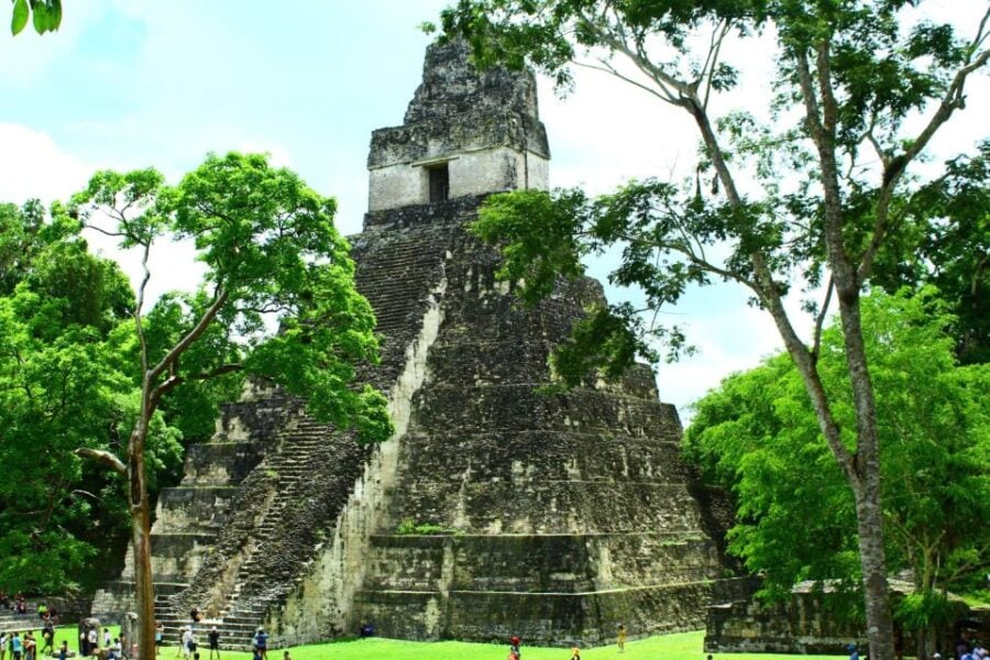 Exclusive Group Tour of Tikal