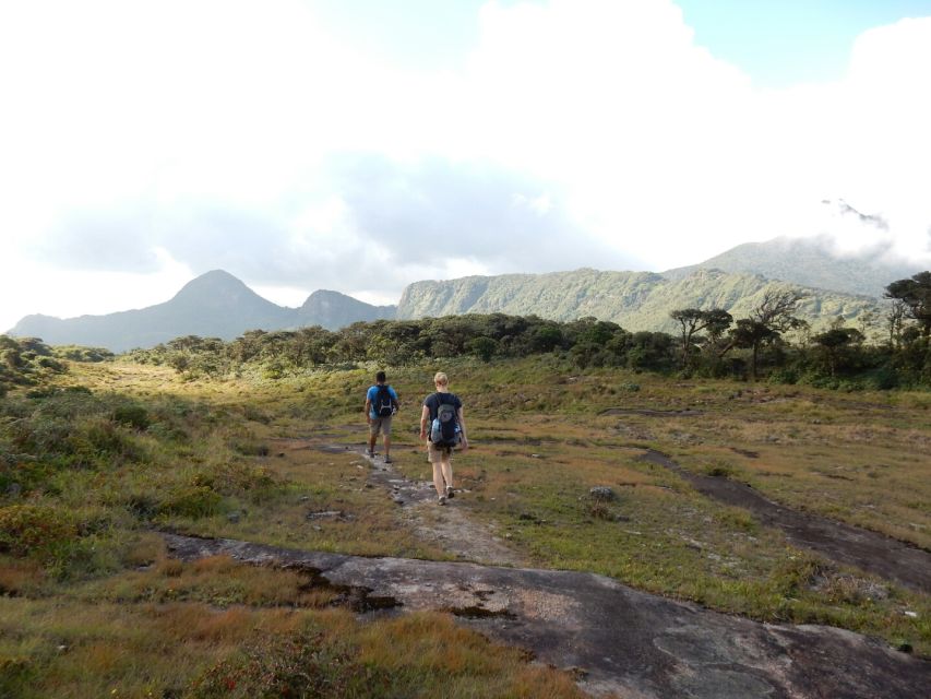 Exclusive Knuckles Camping Tour From Kandy