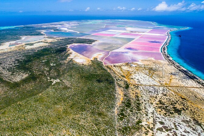 Explore Bonaire: North & South Tour