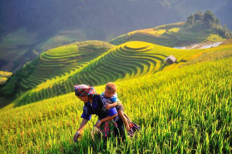 Explore Cultural Unique of Mu Cang Chai - Tour Overview and Details