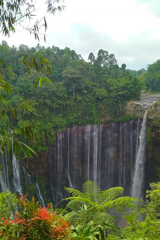 6 Best 4 Day Tours In Banyuwangi