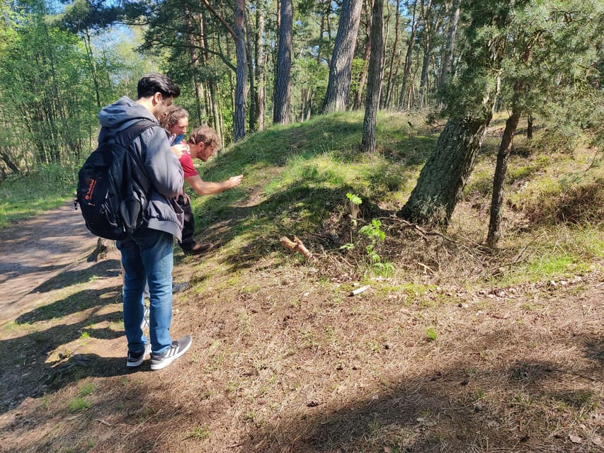 Explore Sobieszewo Island: Nature Walk & Wildlife Tour - Tour Overview