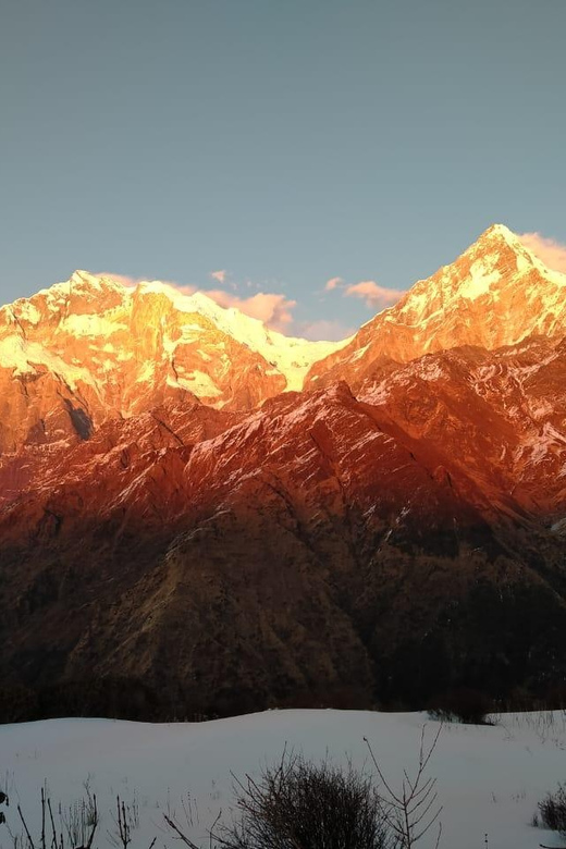 Explore the Hidden Trails: 7 Day to Khopra Hill From Pokhara - Overview and Pricing