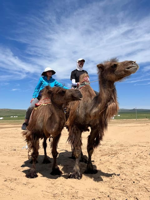 Explorer With Nomad Family in the Semigobi