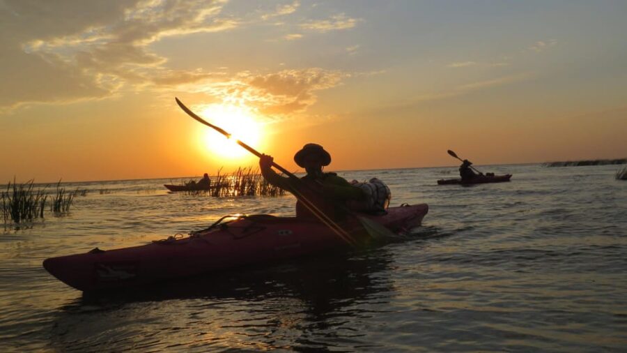 Exploring the Magic of the Danube Delta Through Photo Lenses