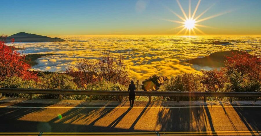 📸🌄 Exclusive 3-Day Sun Moon Lake & Alishan Private Tour