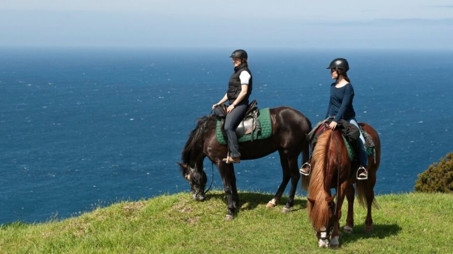 Faial Island: Horseback Riding (3 Hrs – Experienced Riders)