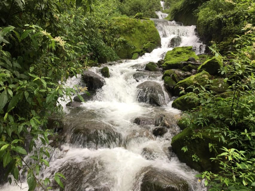 Family Helambu Circuit Trek