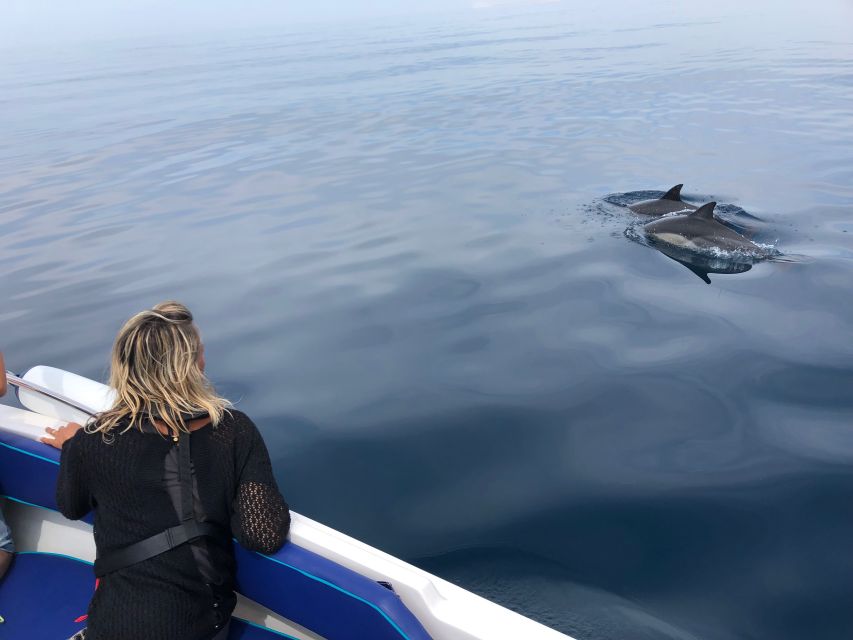 Faro: Dolphin and Wildlife Watching in the Atlantic Ocean - Tour Overview and Pricing