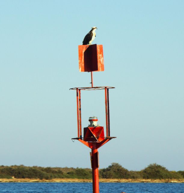 Faro: Royal Pudding Boat Tours 6h Boat Tour to Ria Formosa