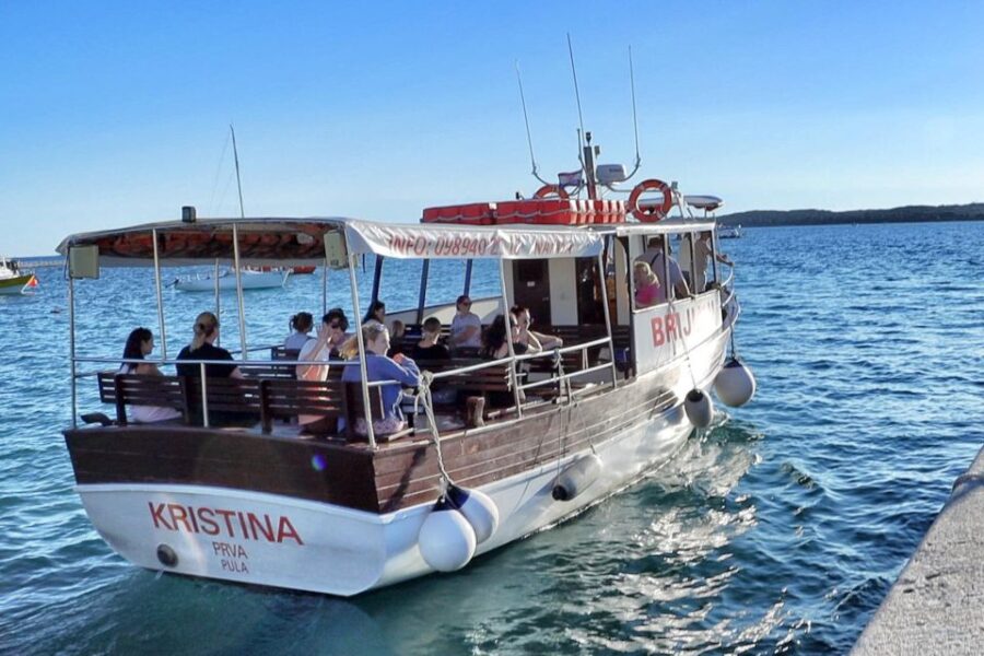 Fazana: Guided Dolphin Watching Sightseeing Cruise at Sunset